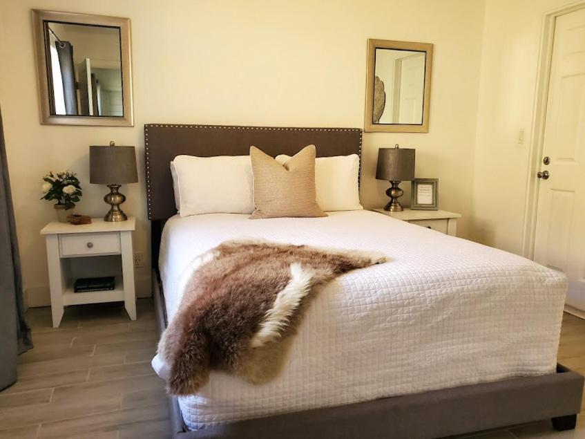 Appartement 1 Chambre
